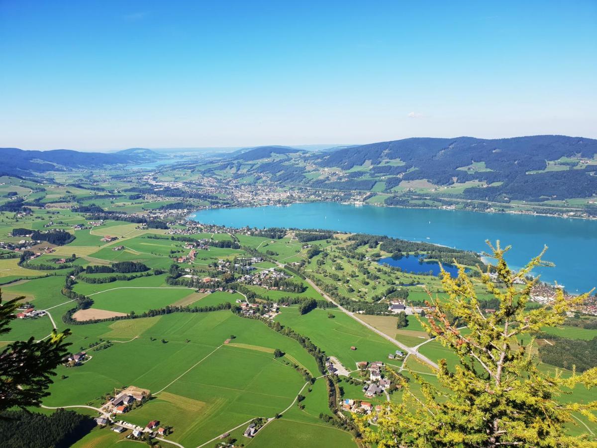 Lindpointner Apartment Innerschwand